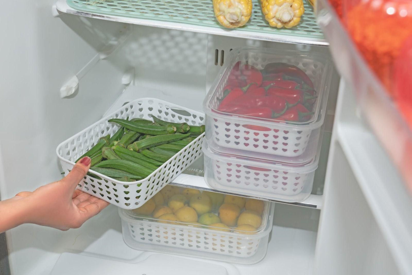 2 in 1 Multi Storage Boxes Freezer Storage Containers