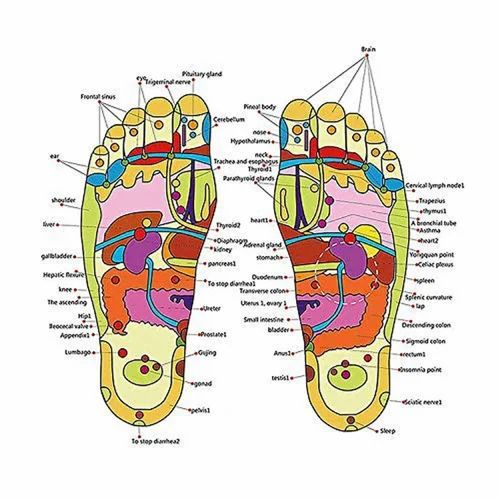 Spring Acupressure And Magnetic Therapy Accu Paduka Slippers